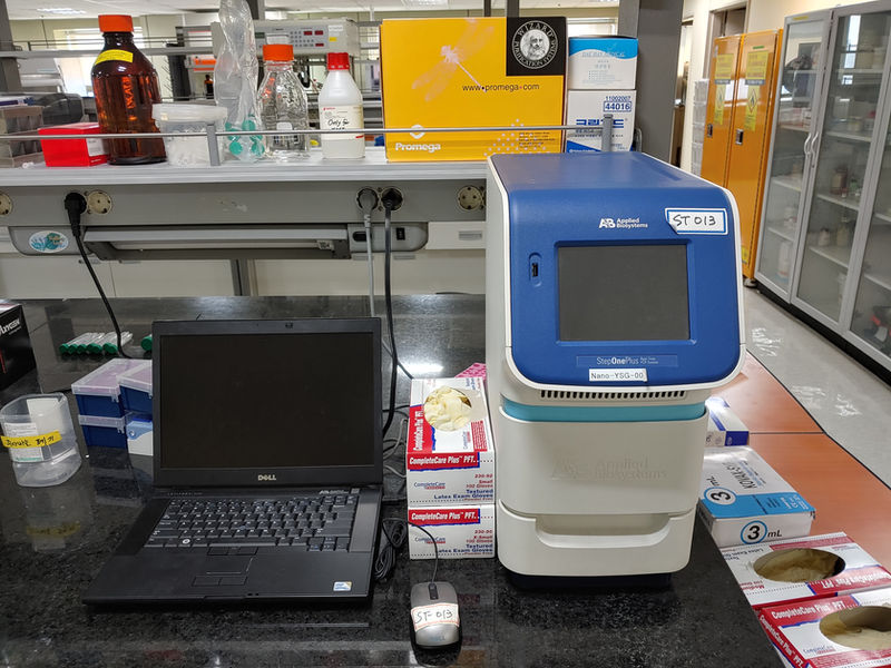 Real-time PCR system
