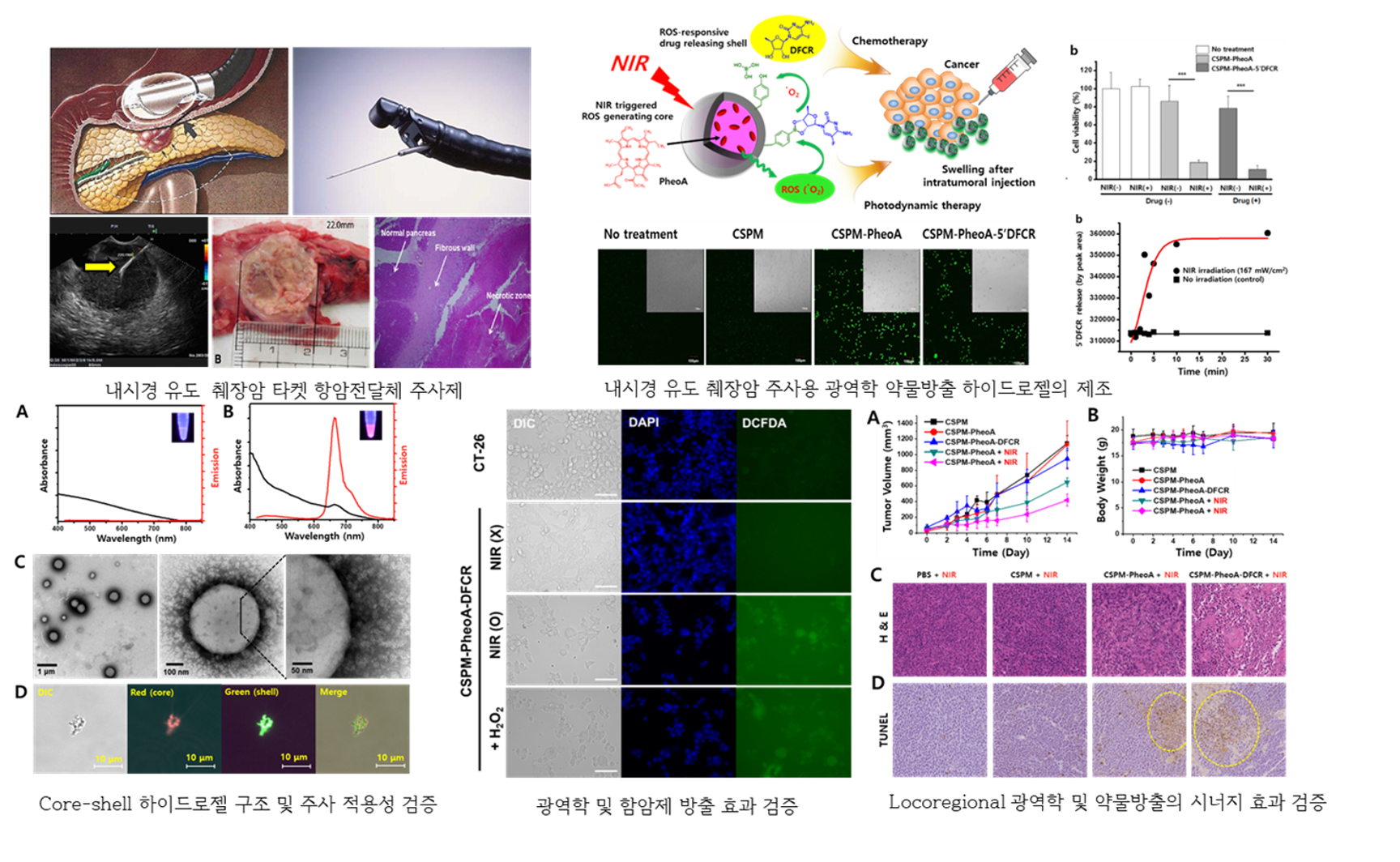 Drug Delivery Systems Research